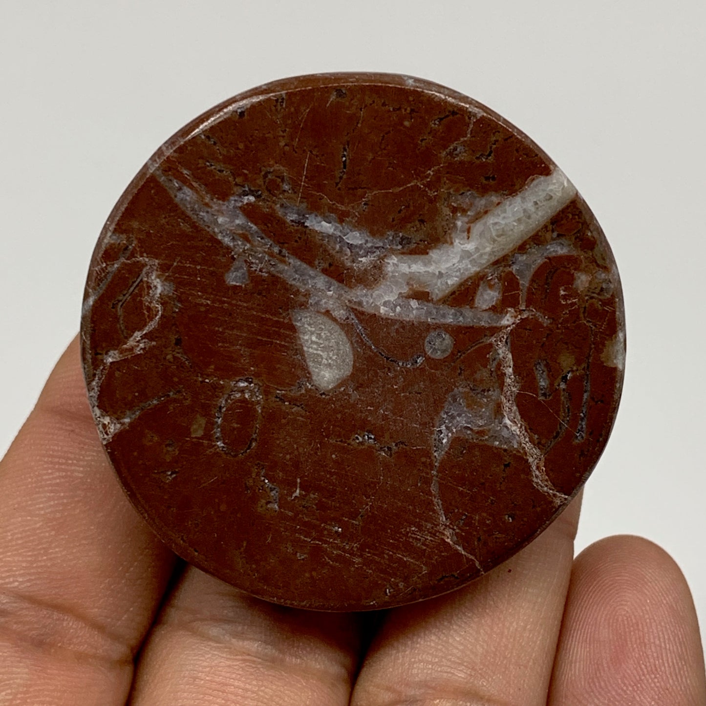 50.5g, 1.7"x0.7", Natural Untreated Red Shell Fossils Round Palms-tone, F1114