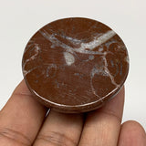50.5g, 1.7"x0.7", Natural Untreated Red Shell Fossils Round Palms-tone, F1114