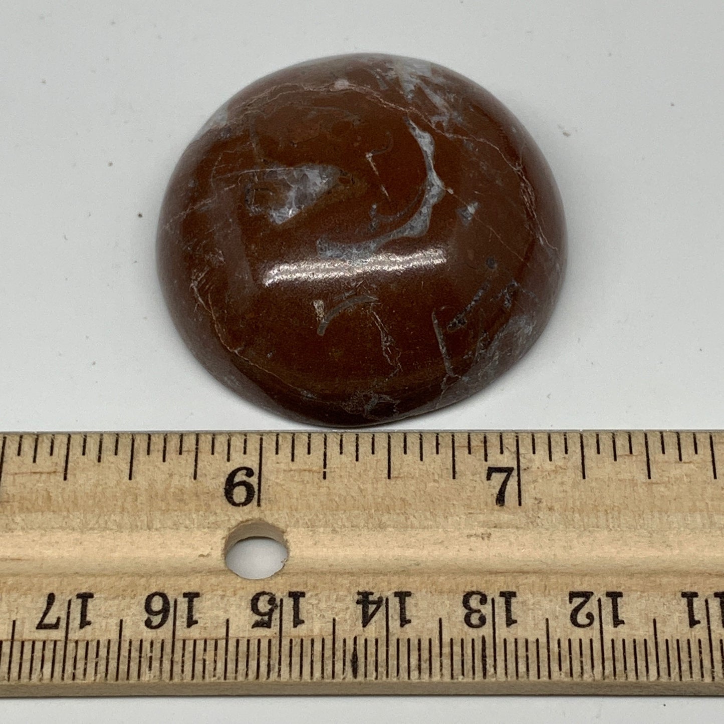 50.5g, 1.7"x0.7", Natural Untreated Red Shell Fossils Round Palms-tone, F1114