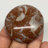 44g, 1.8"x0.6", Natural Untreated Red Shell Fossils Round Palms-tone, F1115
