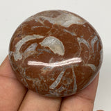 44g, 1.8"x0.6", Natural Untreated Red Shell Fossils Round Palms-tone, F1115