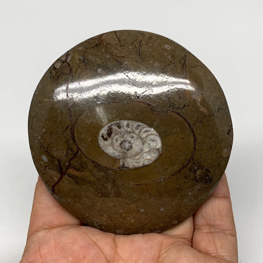 108.8g, 2.9"x2.9"x0.6", Button Ammonite Polished Mineral from Morocco, F2112