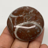 40.5g, 1.7"x0.5", Natural Untreated Red Shell Fossils Round Palms-tone, F1116