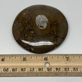 108.8g, 2.9"x2.9"x0.6", Button Ammonite Polished Mineral from Morocco, F2112