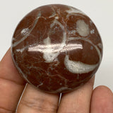 45g, 1.8"x0.6", Natural Untreated Red Shell Fossils Round Palms-tone, F1117