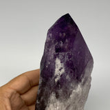 830g,7.2"x2.6"x2.2",Amethyst Point Polished Rough lower part from Brazil,B19121