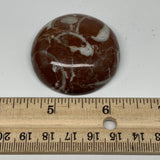 45g, 1.8"x0.6", Natural Untreated Red Shell Fossils Round Palms-tone, F1117