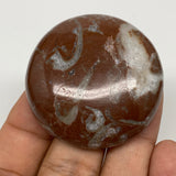 43.3g, 1.8"x0.6", Natural Untreated Red Shell Fossils Round Palms-tone, F1118