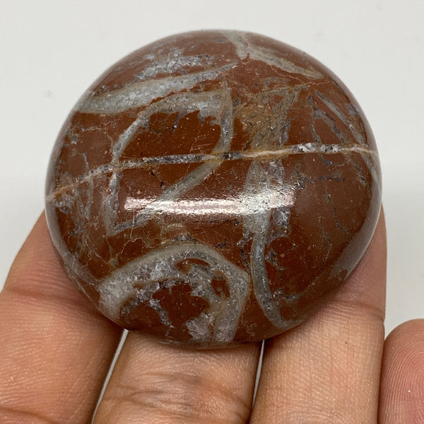 50.4g, 1.7"x0.7", Natural Untreated Red Shell Fossils Round Palms-tone, F1119