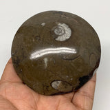 131.3g, 3"x3"x0.7", Button Ammonite Polished Mineral from Morocco, F2115