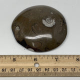 131.3g, 3"x3"x0.7", Button Ammonite Polished Mineral from Morocco, F2115