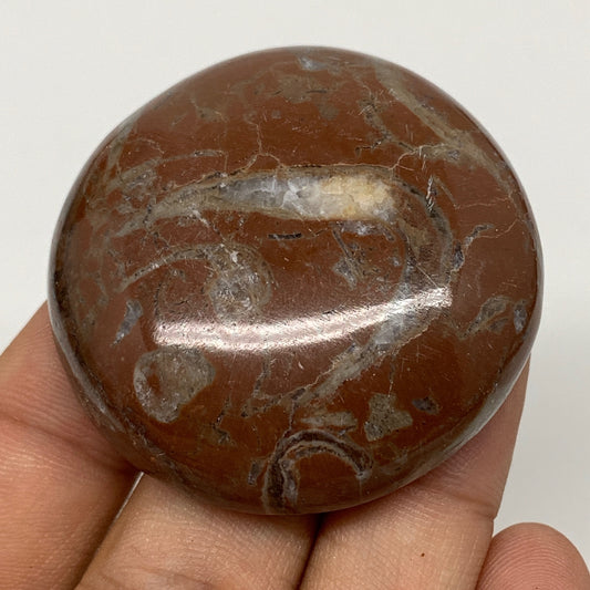 42.1g, 1.8"x0.5", Natural Untreated Red Shell Fossils Round Palms-tone, F1120