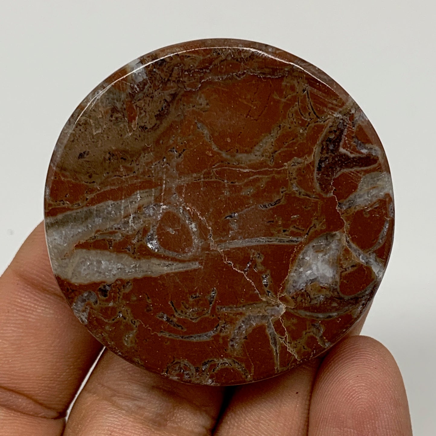 42.1g, 1.8"x0.5", Natural Untreated Red Shell Fossils Round Palms-tone, F1120