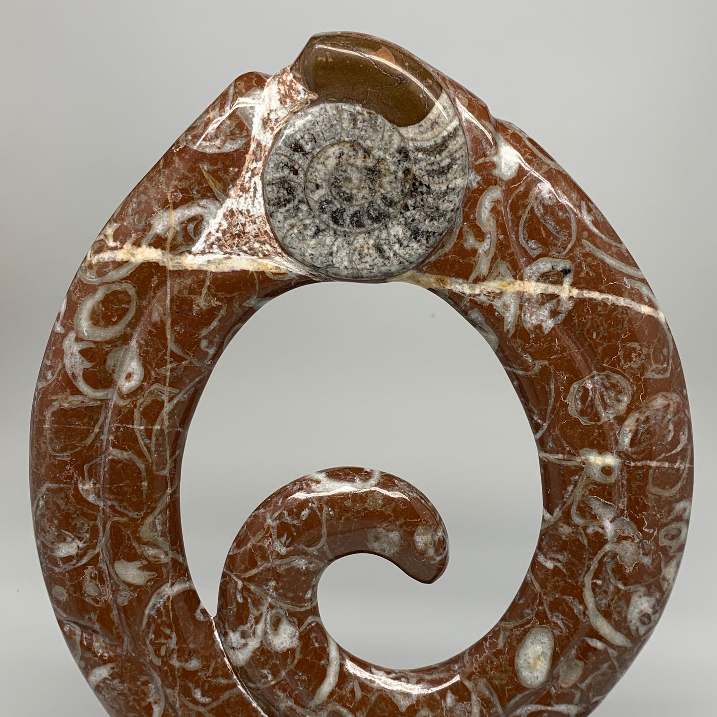 2372g, 12.5"x8.5"x1" Red Shell Fossils Orthoceras Ammonite Sculpture @Morocco, B