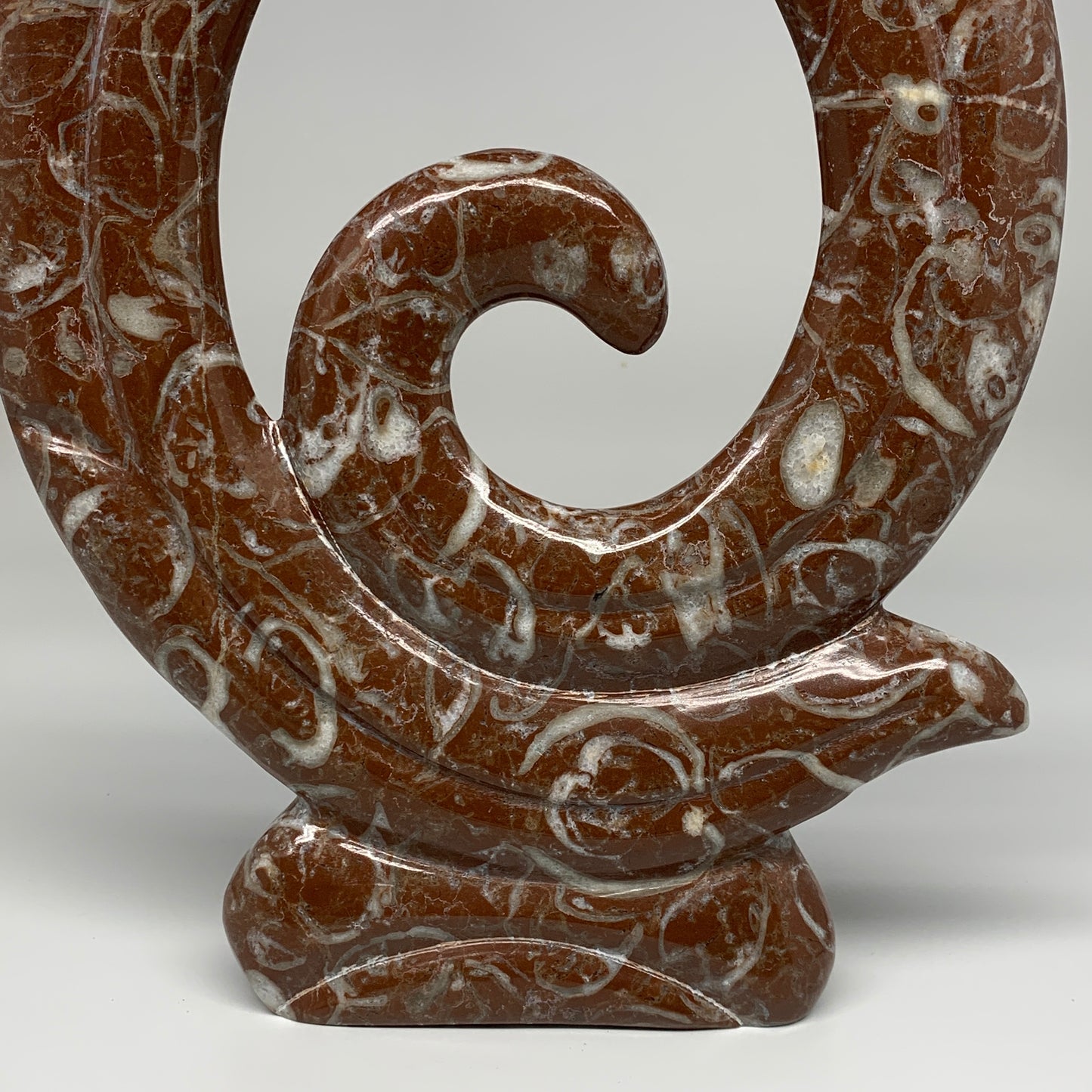 2372g, 12.5"x8.5"x1" Red Shell Fossils Orthoceras Ammonite Sculpture @Morocco, B