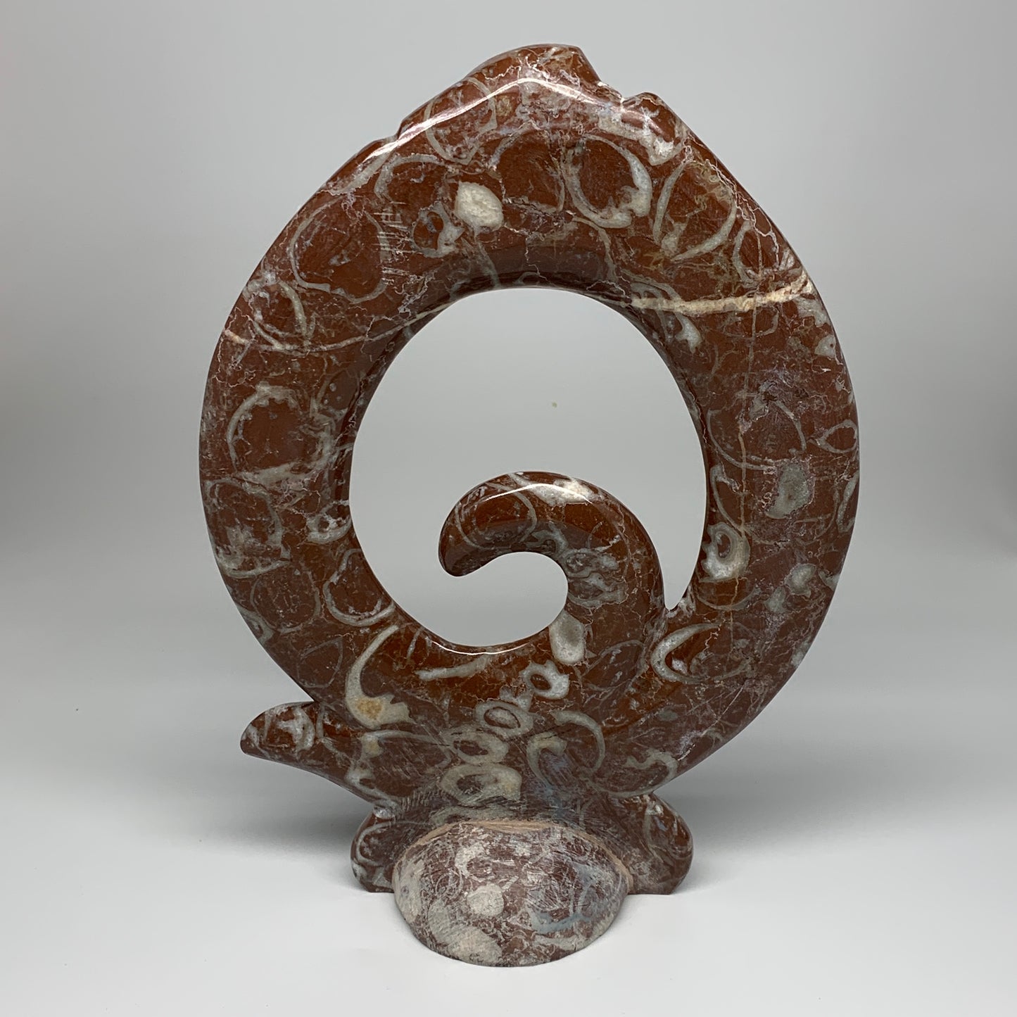 2372g, 12.5"x8.5"x1" Red Shell Fossils Orthoceras Ammonite Sculpture @Morocco, B