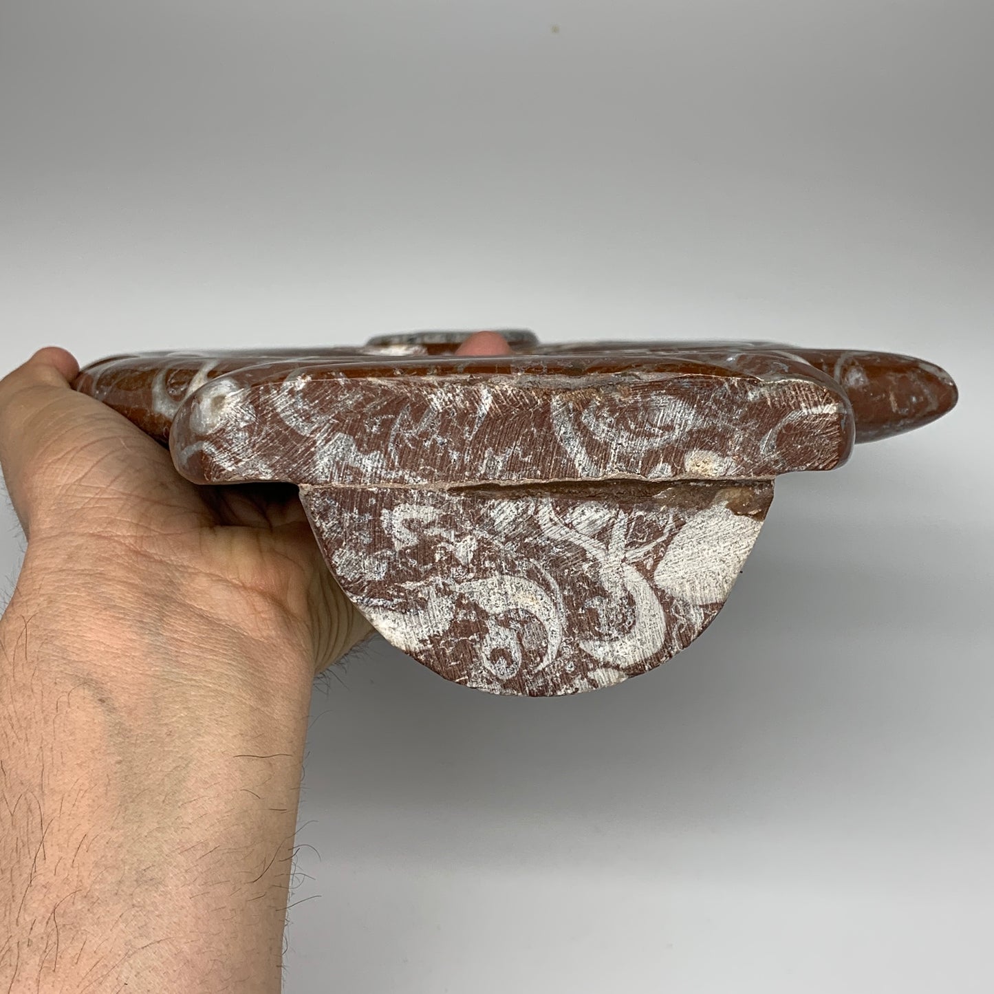 2372g, 12.5"x8.5"x1" Red Shell Fossils Orthoceras Ammonite Sculpture @Morocco, B