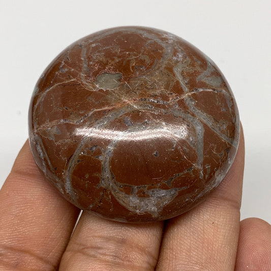 47.4g, 1.7"x0.6", Natural Untreated Red Shell Fossils Round Palms-tone, F1122