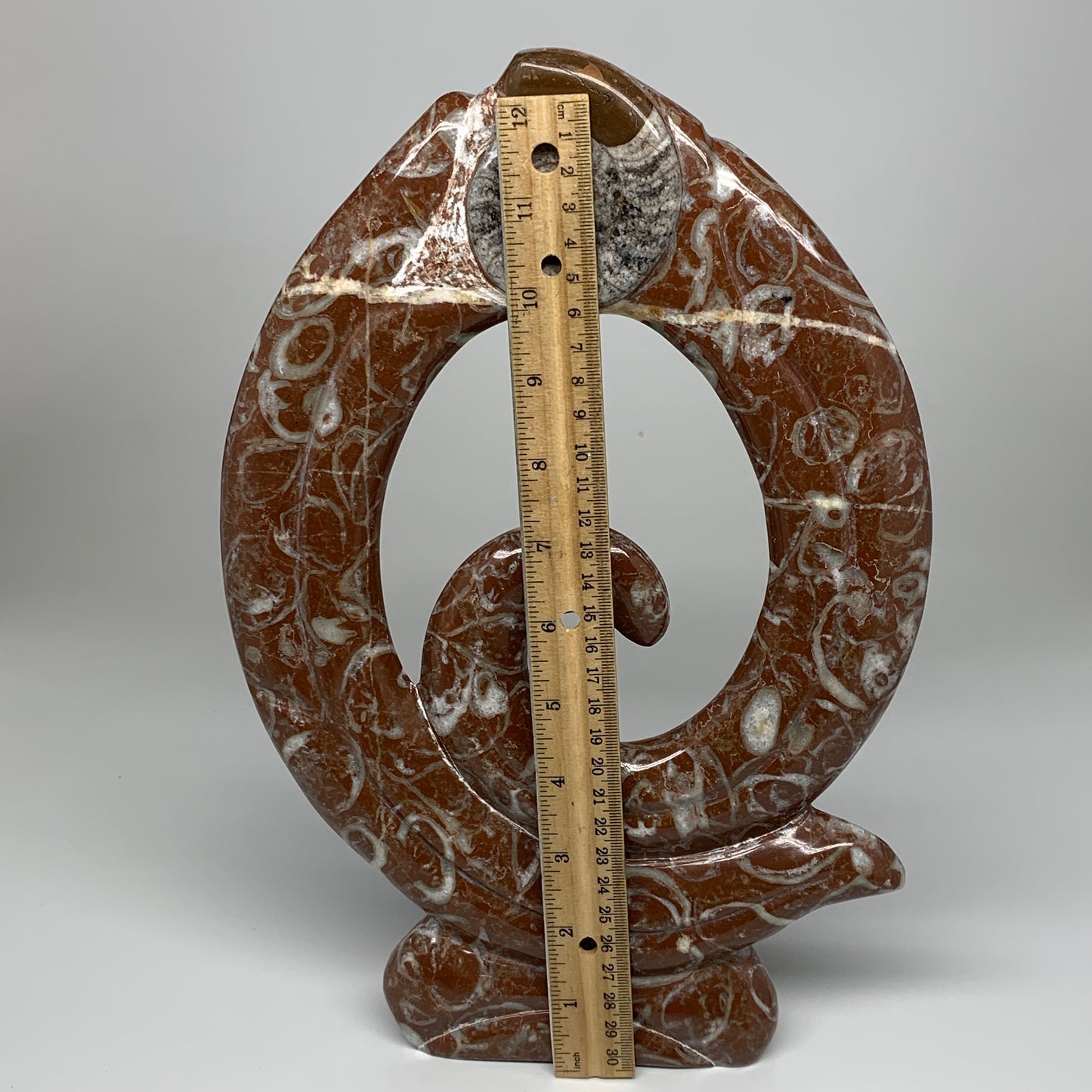 2372g, 12.5"x8.5"x1" Red Shell Fossils Orthoceras Ammonite Sculpture @Morocco, B