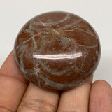 47.4g, 1.7"x0.6", Natural Untreated Red Shell Fossils Round Palms-tone, F1122