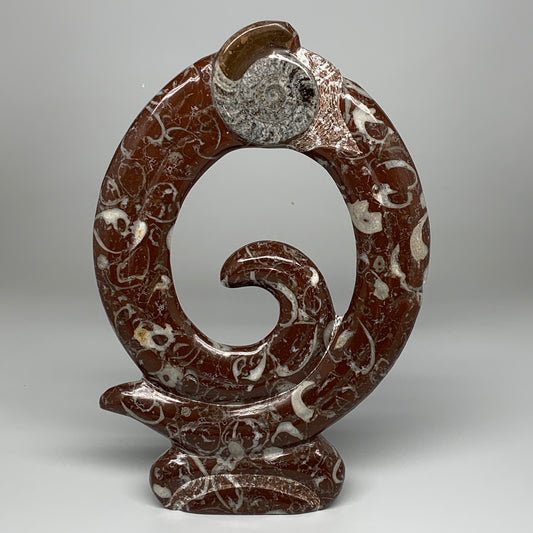 2438g, 12.75"x8.5"x0.9" Red Shell Fossils Orthoceras Ammonite Sculpture @Morocco