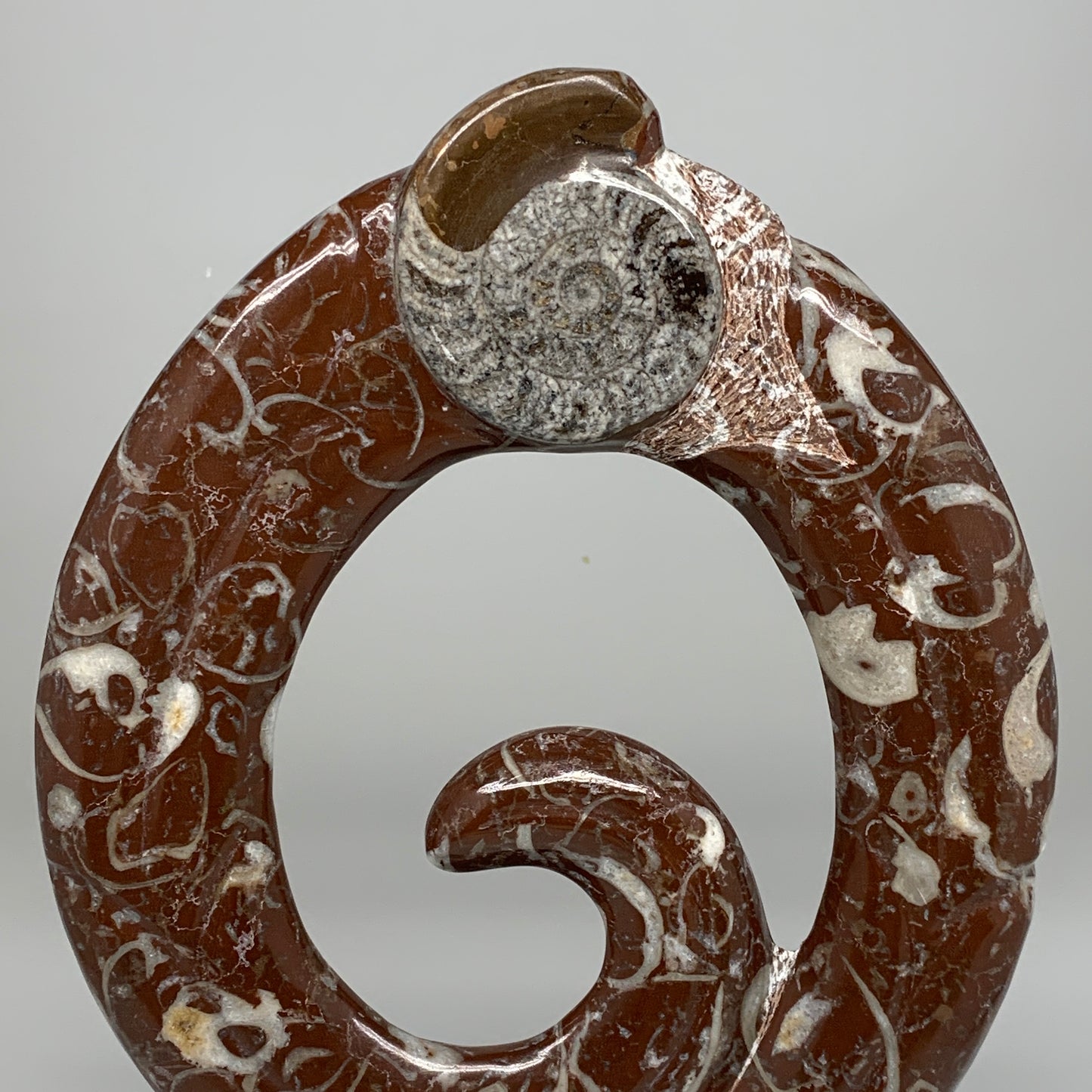 2438g, 12.75"x8.5"x0.9" Red Shell Fossils Orthoceras Ammonite Sculpture @Morocco