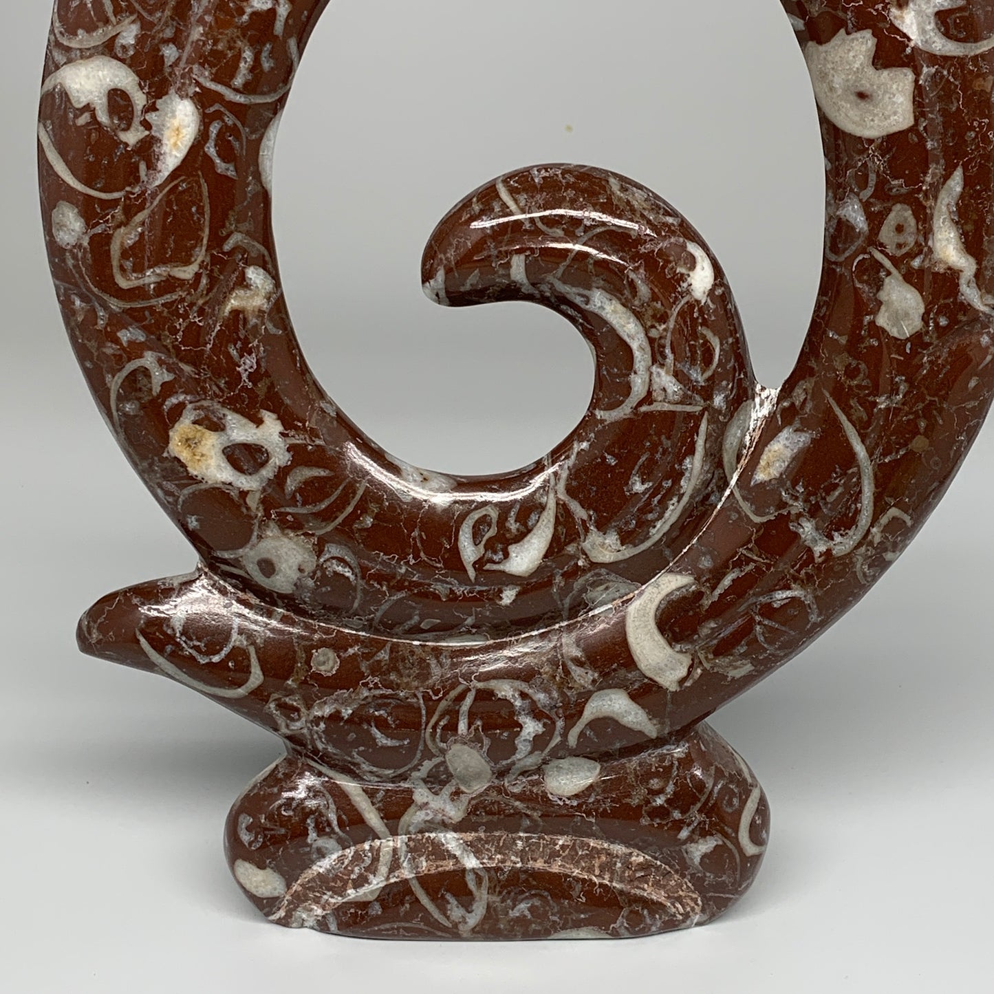 2438g, 12.75"x8.5"x0.9" Red Shell Fossils Orthoceras Ammonite Sculpture @Morocco