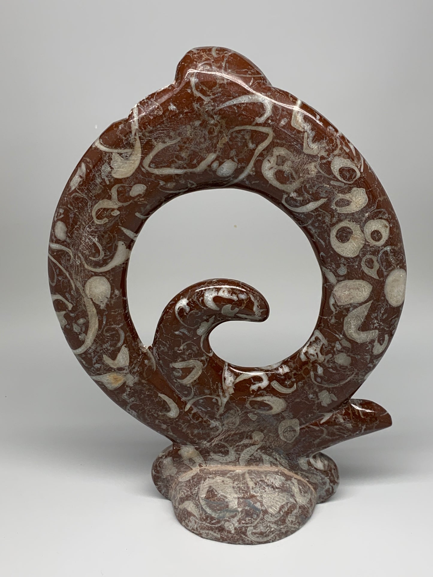 2438g, 12.75"x8.5"x0.9" Red Shell Fossils Orthoceras Ammonite Sculpture @Morocco