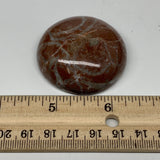 47.4g, 1.7"x0.6", Natural Untreated Red Shell Fossils Round Palms-tone, F1122