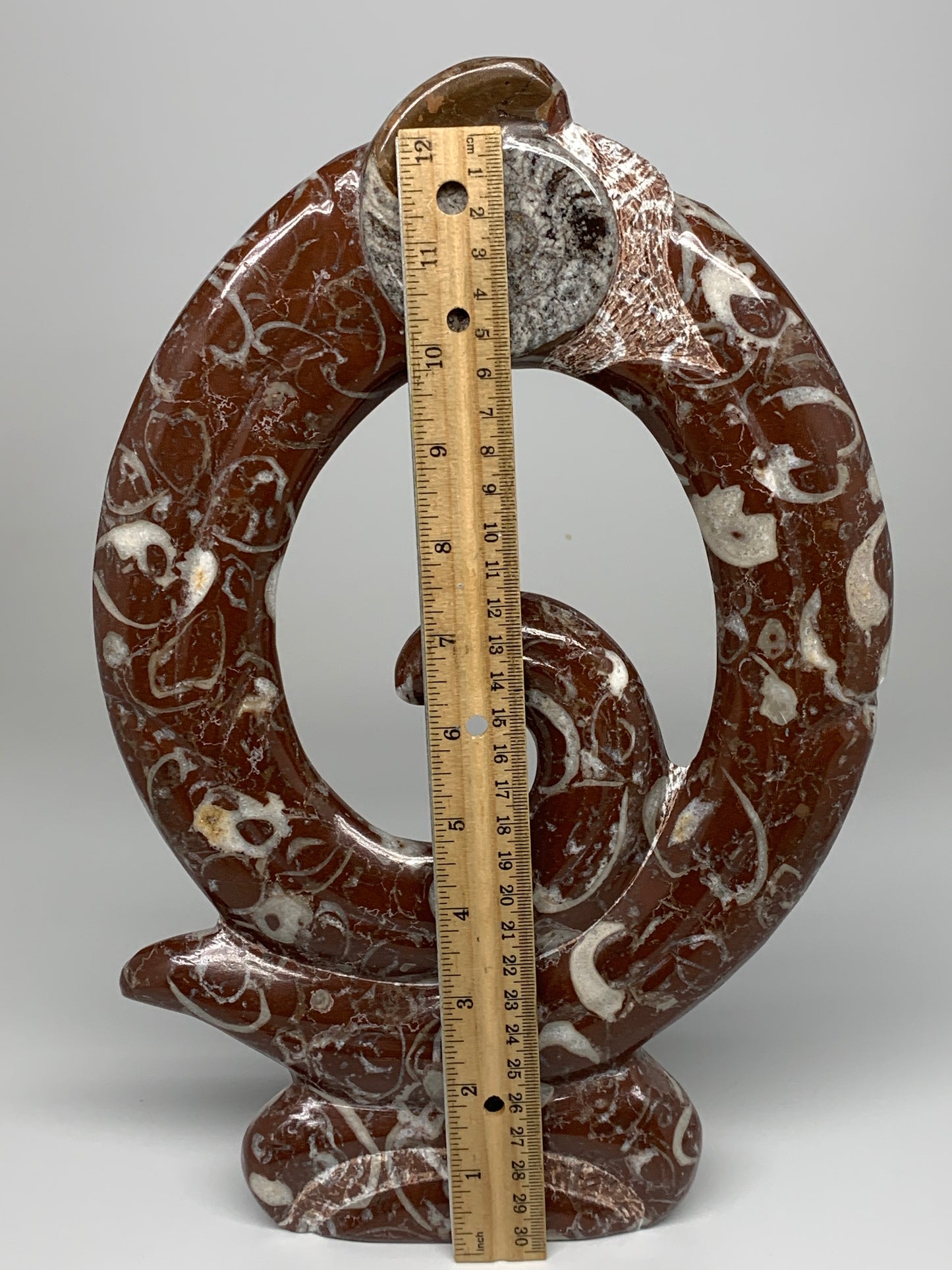 2438g, 12.75"x8.5"x0.9" Red Shell Fossils Orthoceras Ammonite Sculpture @Morocco