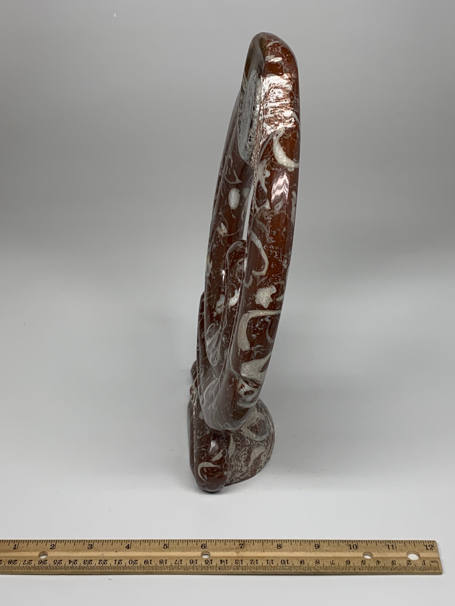 2438g, 12.75"x8.5"x0.9" Red Shell Fossils Orthoceras Ammonite Sculpture @Morocco