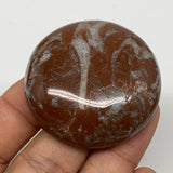 39.8g, 1.7"x0.5", Natural Untreated Red Shell Fossils Round Palms-tone, F1124