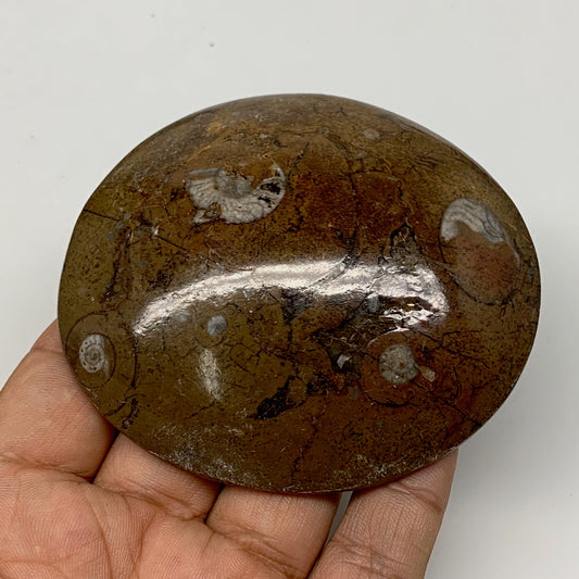 139.7g, 3.2"x2.9"x0.7", Button Ammonite Polished Mineral from Morocco, F2122