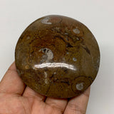 139.7g, 3.2"x2.9"x0.7", Button Ammonite Polished Mineral from Morocco, F2122