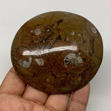 139.7g, 3.2"x2.9"x0.7", Button Ammonite Polished Mineral from Morocco, F2122