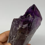 520g,7.1"x2.3"x2.1",Amethyst Point Polished Rough lower part from Brazil,B19128