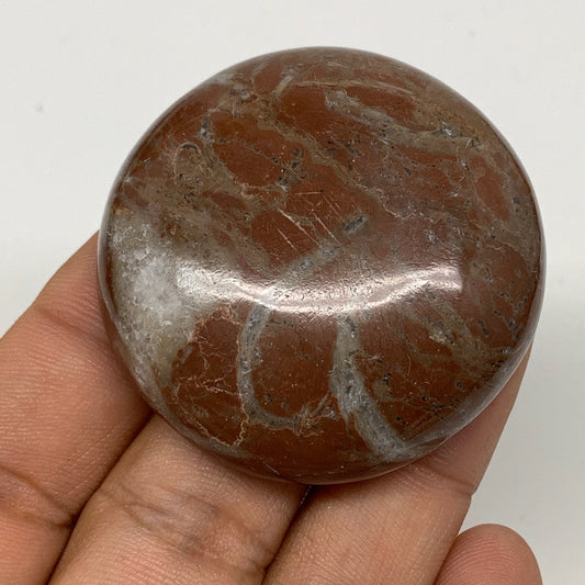 42.2g, 1.8"x0.5", Natural Untreated Red Shell Fossils Round Palms-tone, F1126