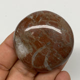 42.2g, 1.8"x0.5", Natural Untreated Red Shell Fossils Round Palms-tone, F1126
