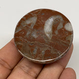 42.2g, 1.8"x0.5", Natural Untreated Red Shell Fossils Round Palms-tone, F1126