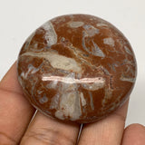 41.4g, 1.8"x0.5", Natural Untreated Red Shell Fossils Round Palms-tone, F1127