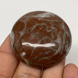 43.6g, 1.8"x0.6", Natural Untreated Red Shell Fossils Round Palms-tone, F1128