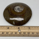 142.4g, 3"x3"x0.8", Button Ammonite Polished Mineral from Morocco, F2125