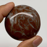 43.6g, 1.8"x0.6", Natural Untreated Red Shell Fossils Round Palms-tone, F1128