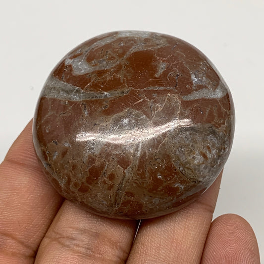 50g, 1.8"x0.6", Natural Untreated Red Shell Fossils Round Palms-tone, F1129