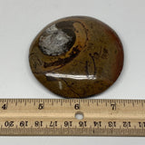 136.3g, 3.1"x2.9"x0.7", Button Ammonite Polished Mineral from Morocco, F2126