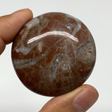 50g, 1.8"x0.6", Natural Untreated Red Shell Fossils Round Palms-tone, F1129