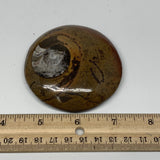 136.3g, 3.1"x2.9"x0.7", Button Ammonite Polished Mineral from Morocco, F2126
