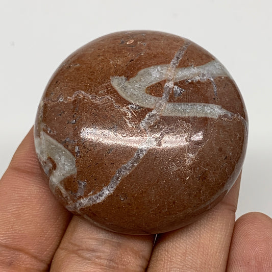 45.2g, 1.7"x0.6", Natural Untreated Red Shell Fossils Round Palms-tone, F1130