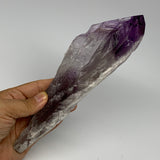 425.8g,8.7"x2.4"x1.7",Amethyst Point Polished Rough lower part from Brazil,B1913