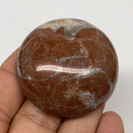 48.9g, 1.8"x0.7", Natural Untreated Red Shell Fossils Round Palms-tone, F1131